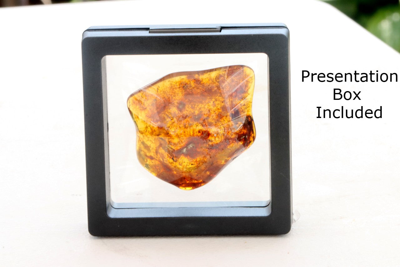 Smooth Baltic Amber Gemstone Presentation Box Included.