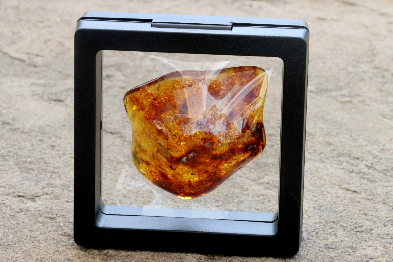 Smooth Baltic Amber Gemstone Presentation Box Included.