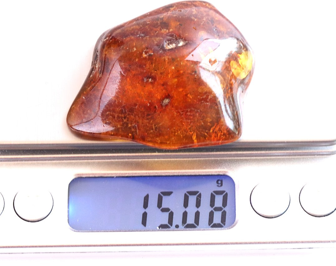 Smooth Baltic Amber Gemstone Presentation Box Included.