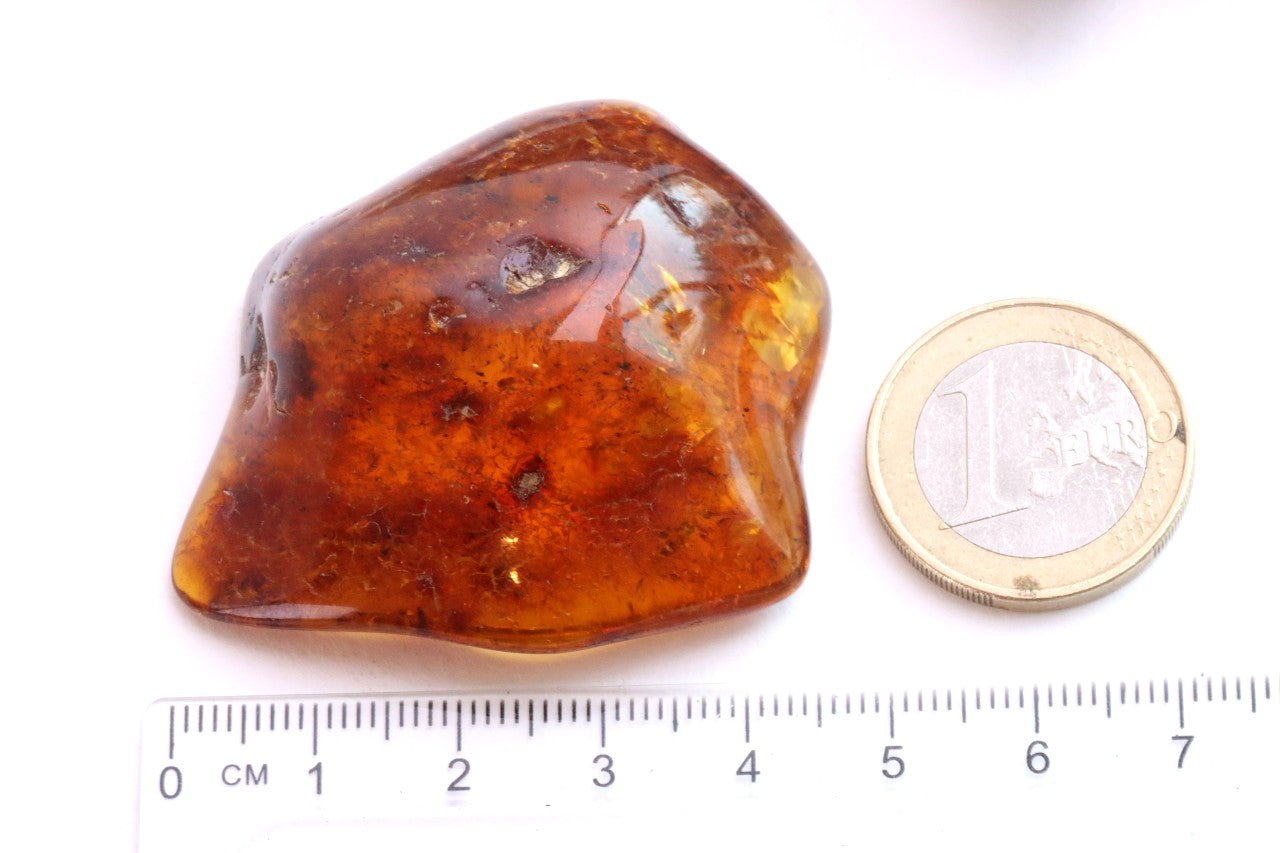 Smooth Baltic Amber Gemstone Presentation Box Included.