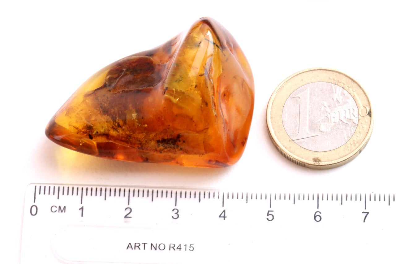 Amber Gem with Insect Inclusion Presentation Box Included