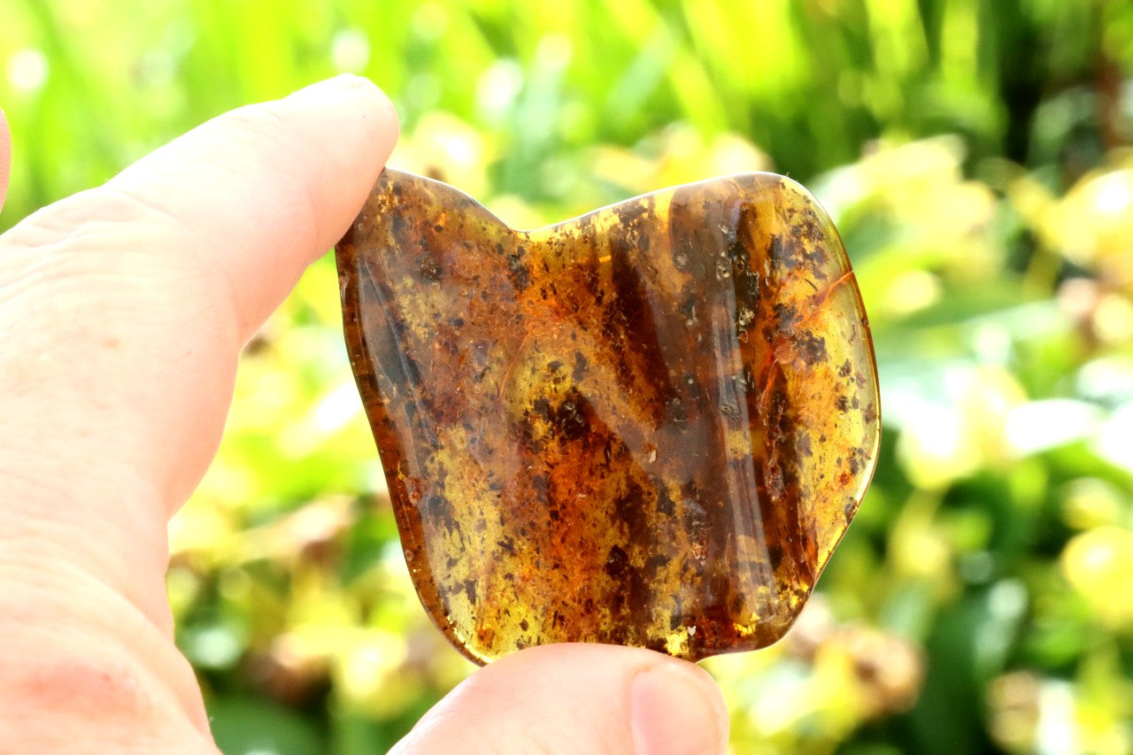Natural Baltic Amber Gem Presentation Box Included