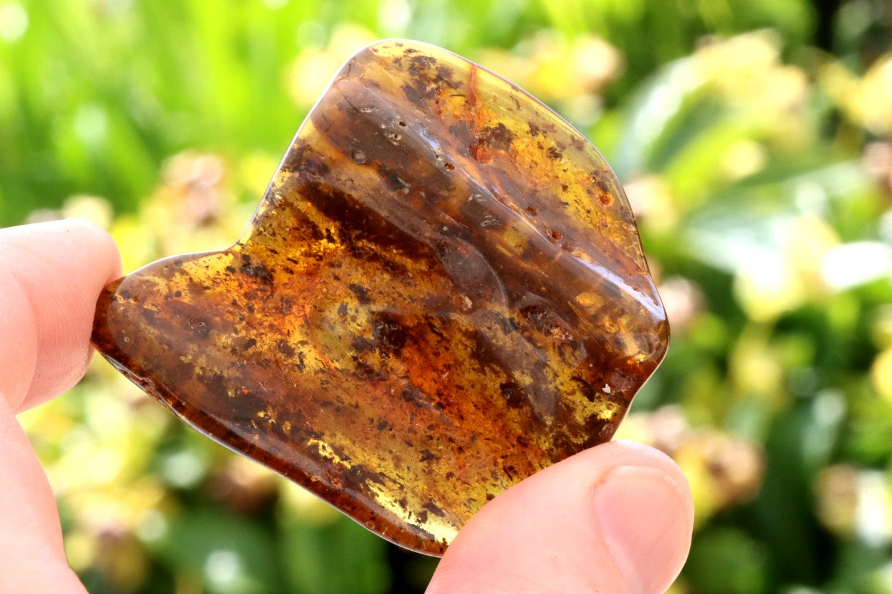 Natural Baltic Amber Gem Presentation Box Included