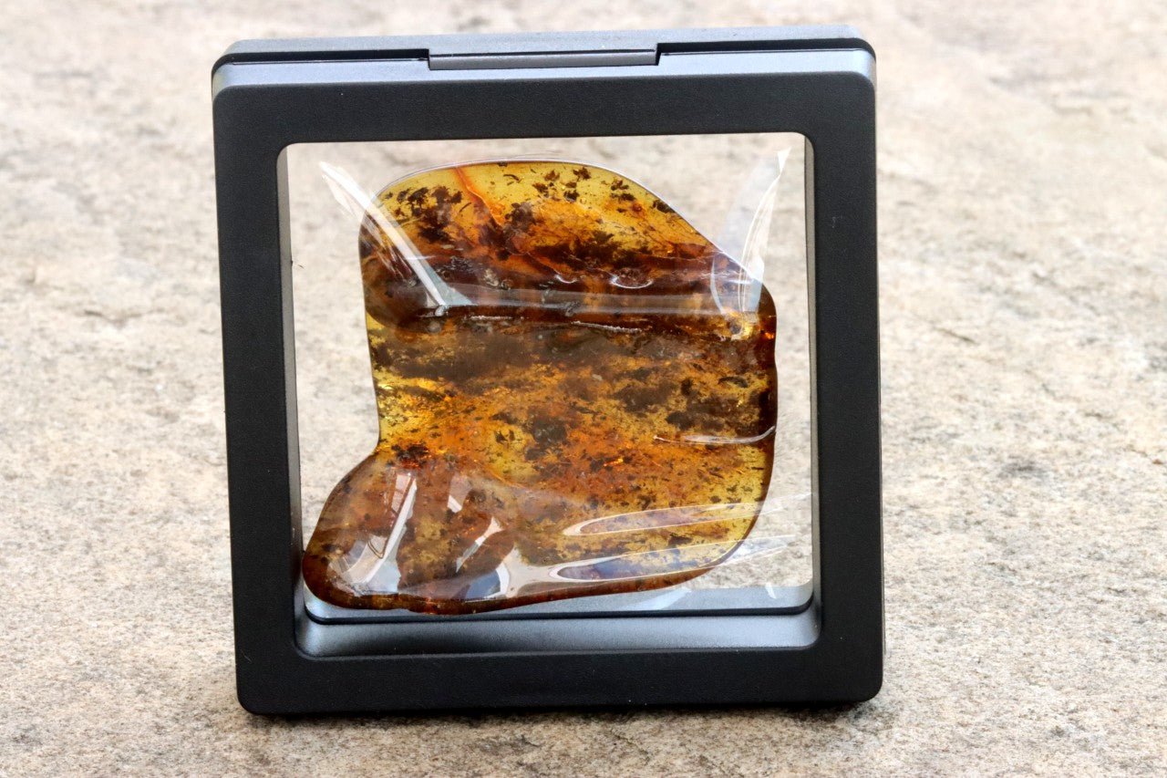 Natural Baltic Amber Gem Presentation Box Included