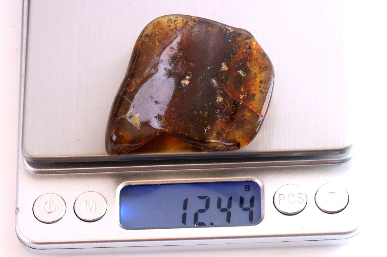 Natural Baltic Amber Gem Presentation Box Included