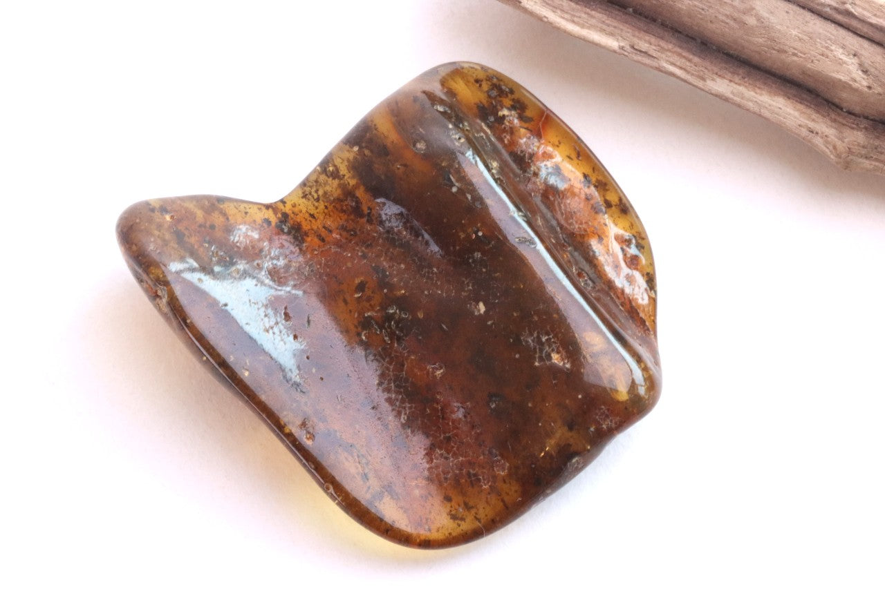 Natural Baltic Amber Gem Presentation Box Included