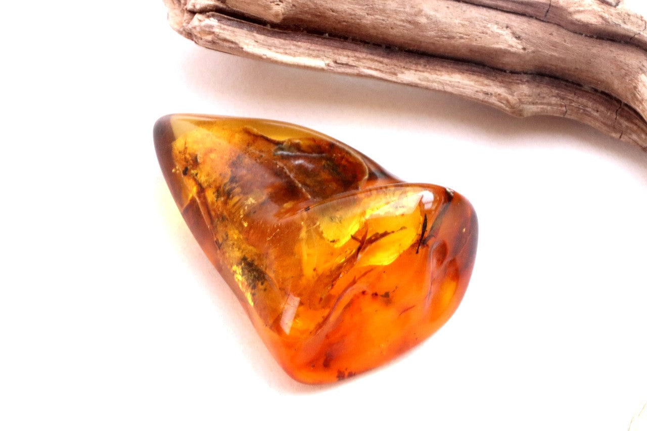 Amber Gem with Insect Inclusion Presentation Box Included