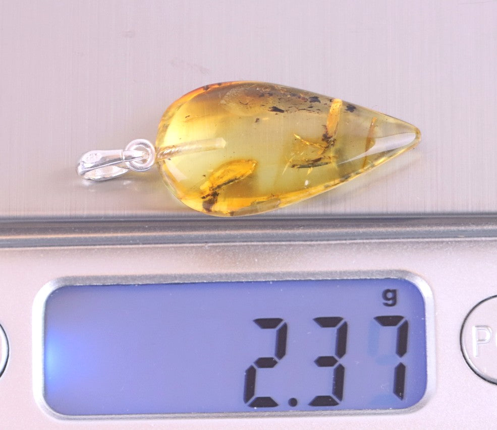 Silver Pendant with Insect