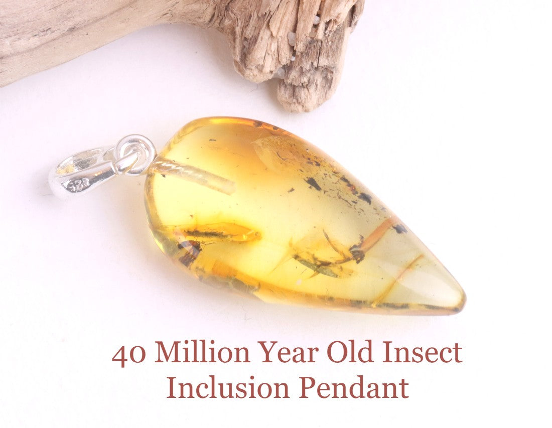 Silver Pendant with Insect