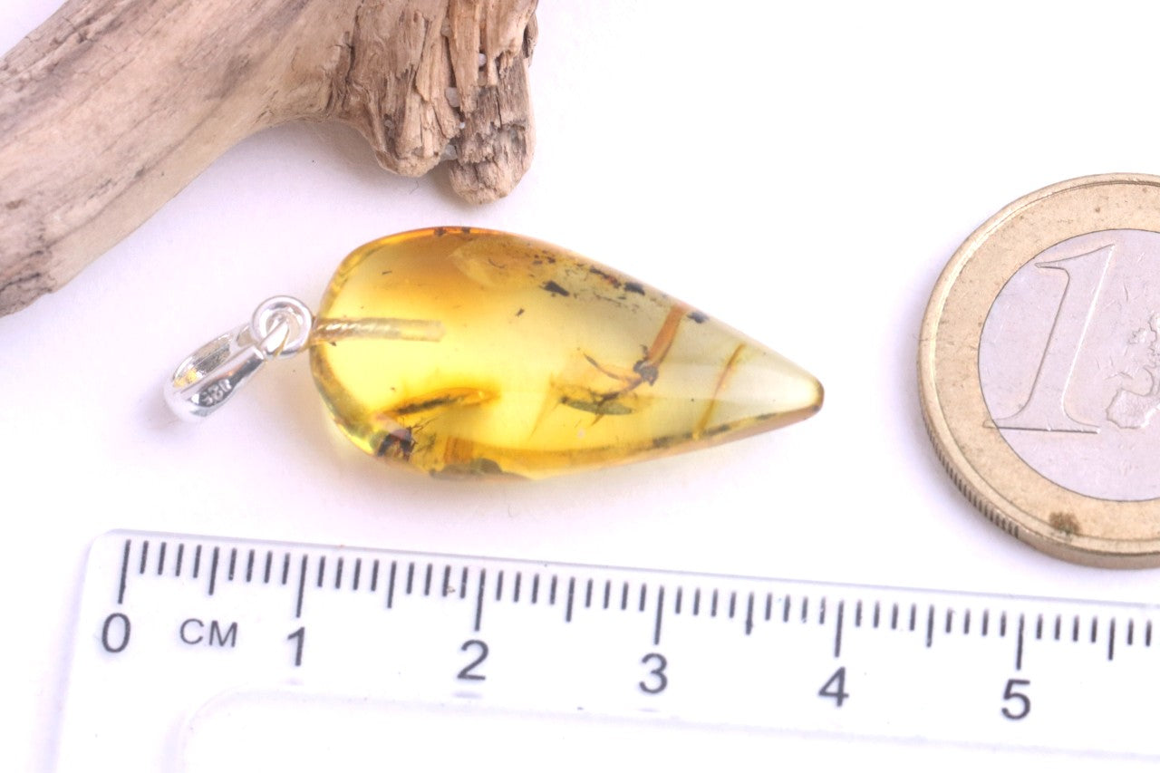 Silver Pendant with Insect