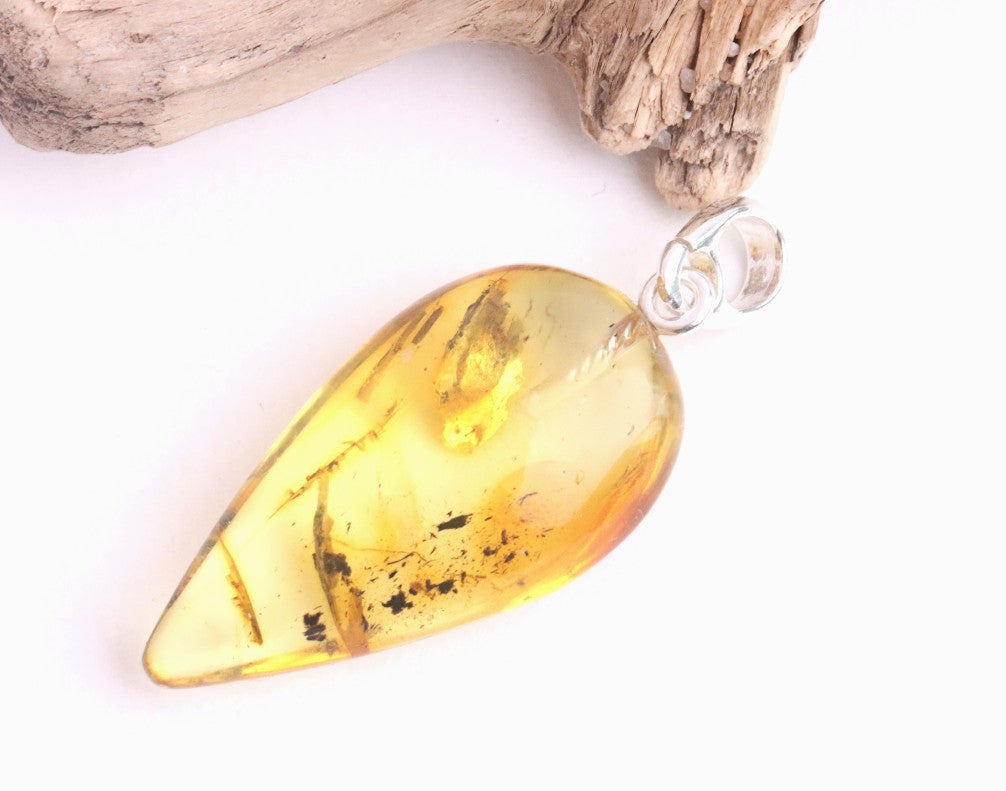 Silver Pendant with Insect