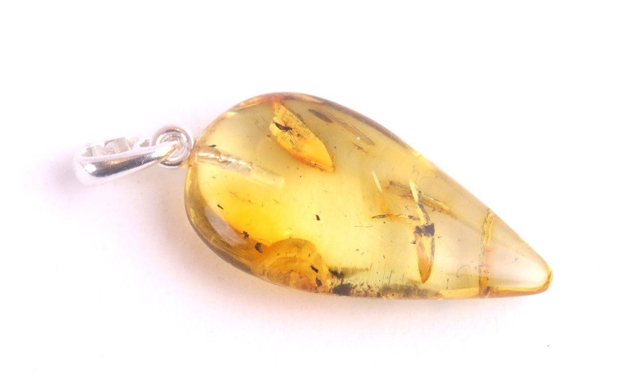 Silver Pendant with Insect