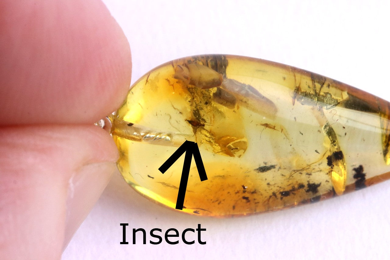 Silver Pendant with Insect