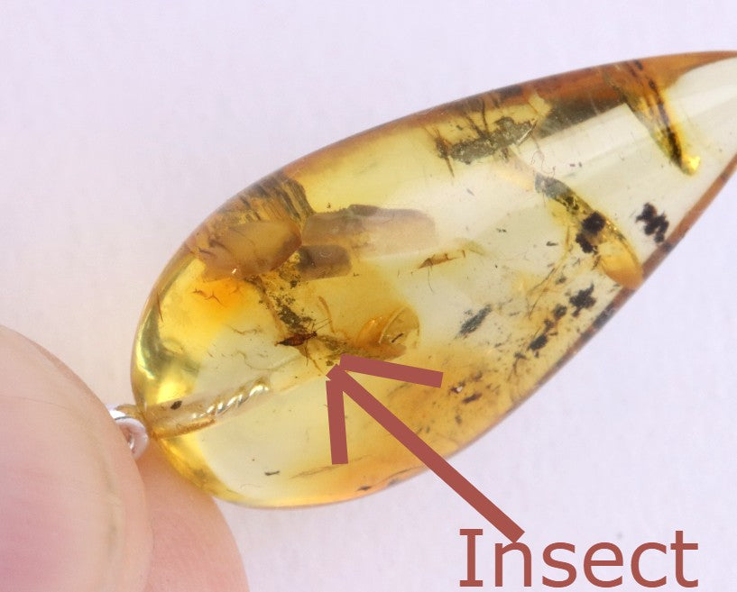 Silver Pendant with Insect