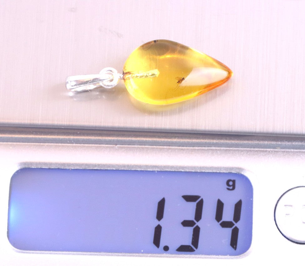 Amber Pendant with Visible Insect Inclusion