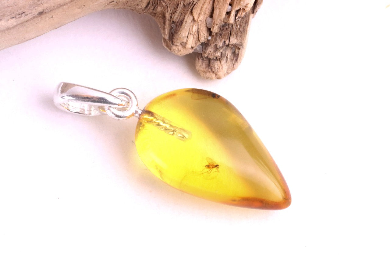 Amber Pendant with Visible Insect Inclusion