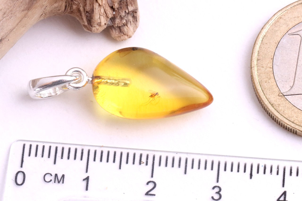 Amber Pendant with Visible Insect Inclusion