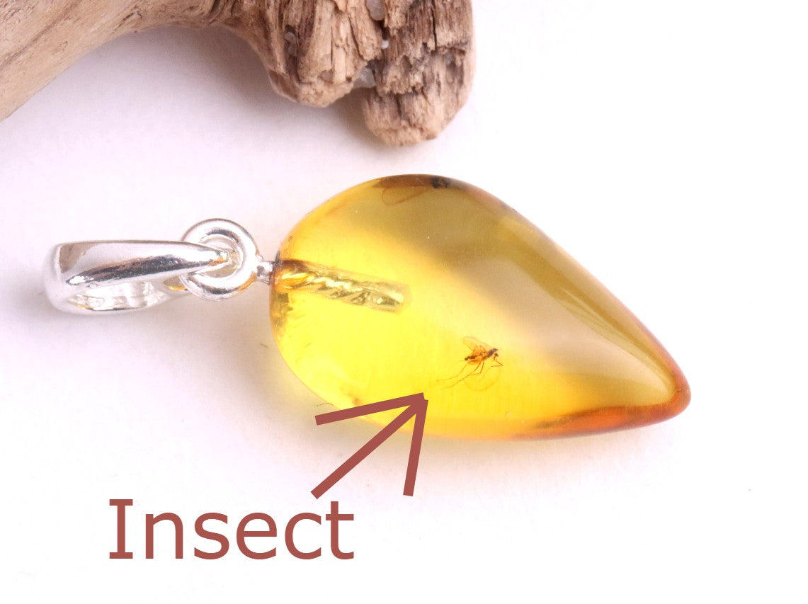 Amber Pendant with Visible Insect Inclusion