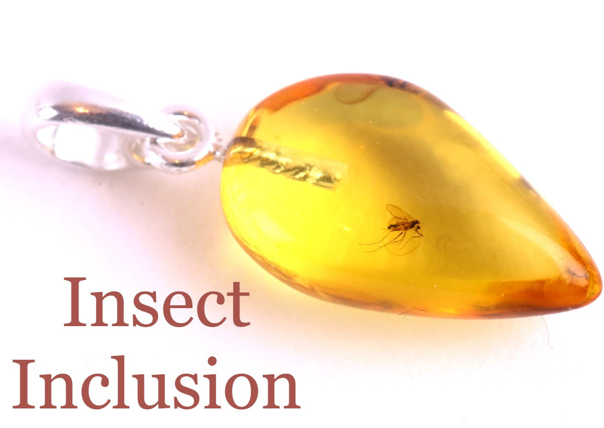 Amber Pendant with Visible Insect Inclusion