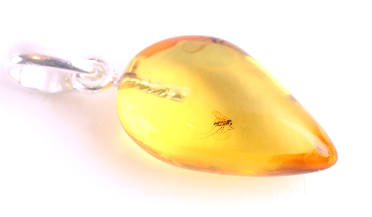 Amber Pendant with Visible Insect Inclusion