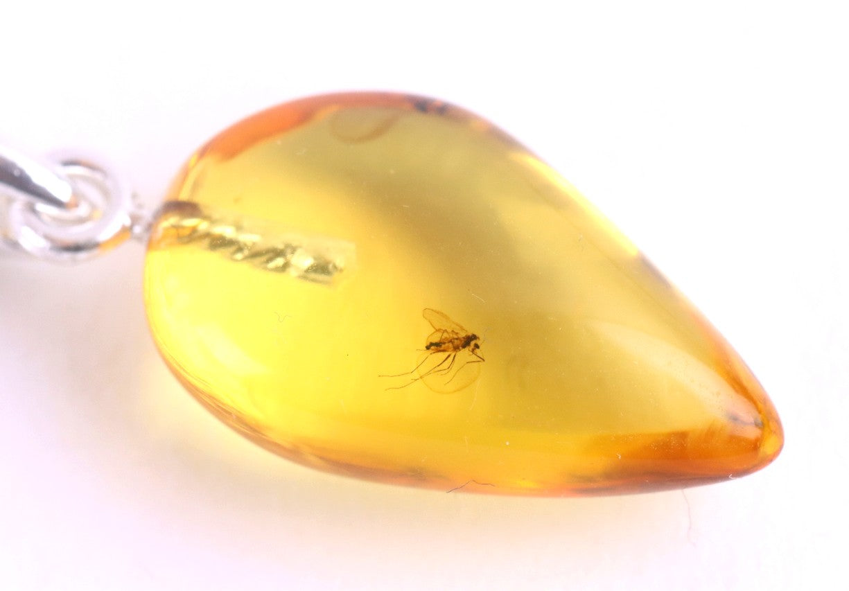 Amber Pendant with Visible Insect Inclusion
