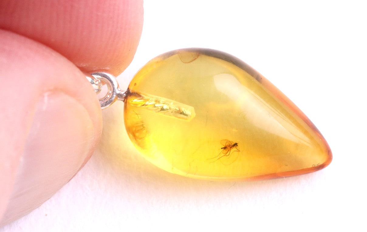 Amber Pendant with Visible Insect Inclusion