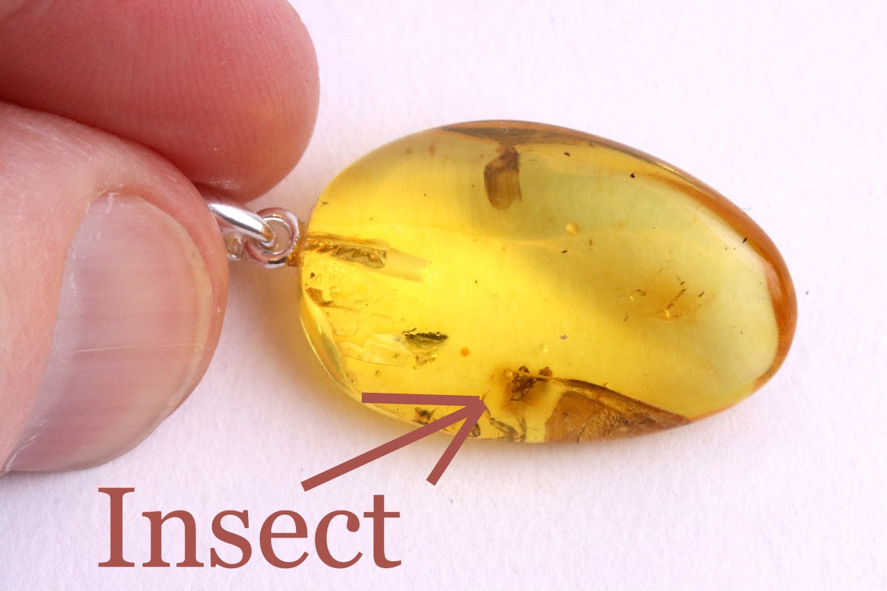 Golden Amber Pendant with Insect on Sterling Silver