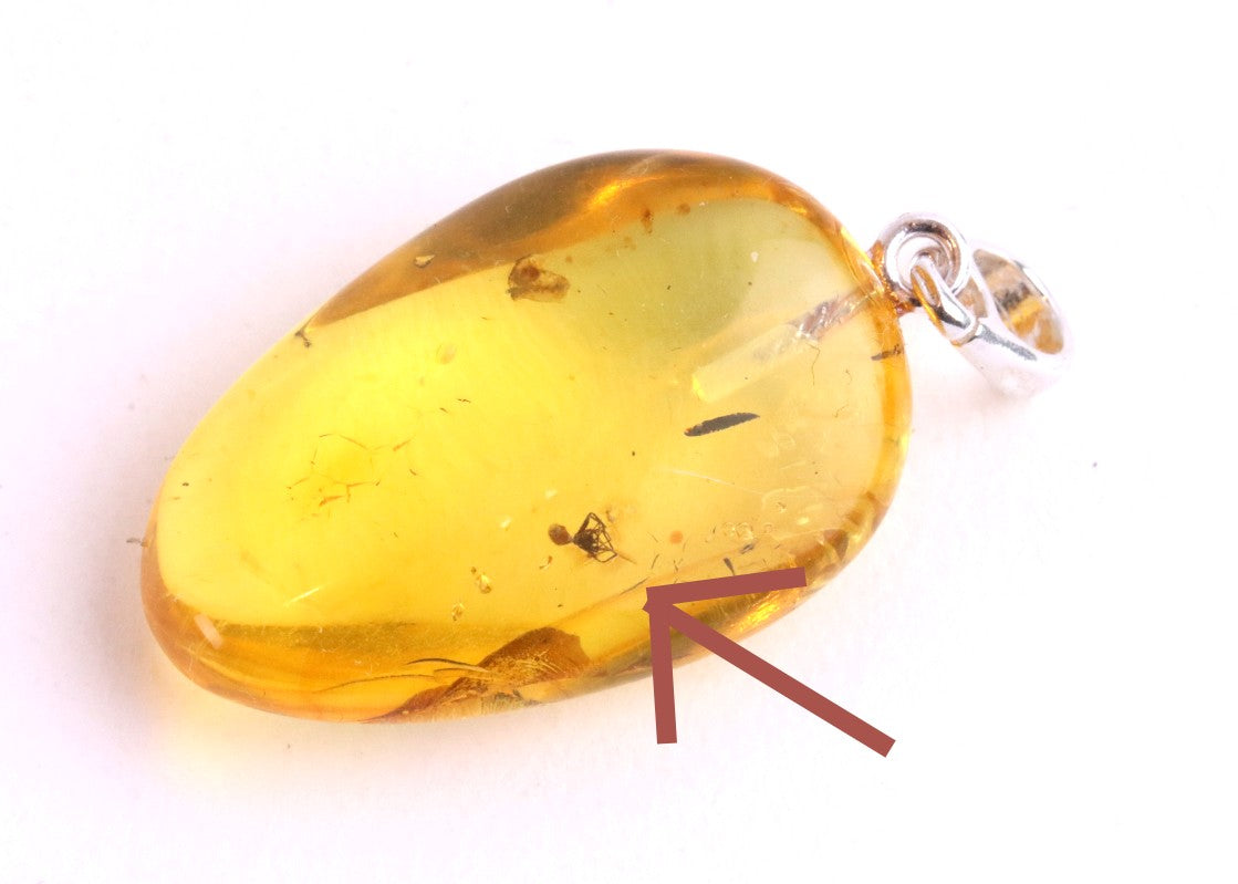 Golden Amber Pendant with Insect on Sterling Silver