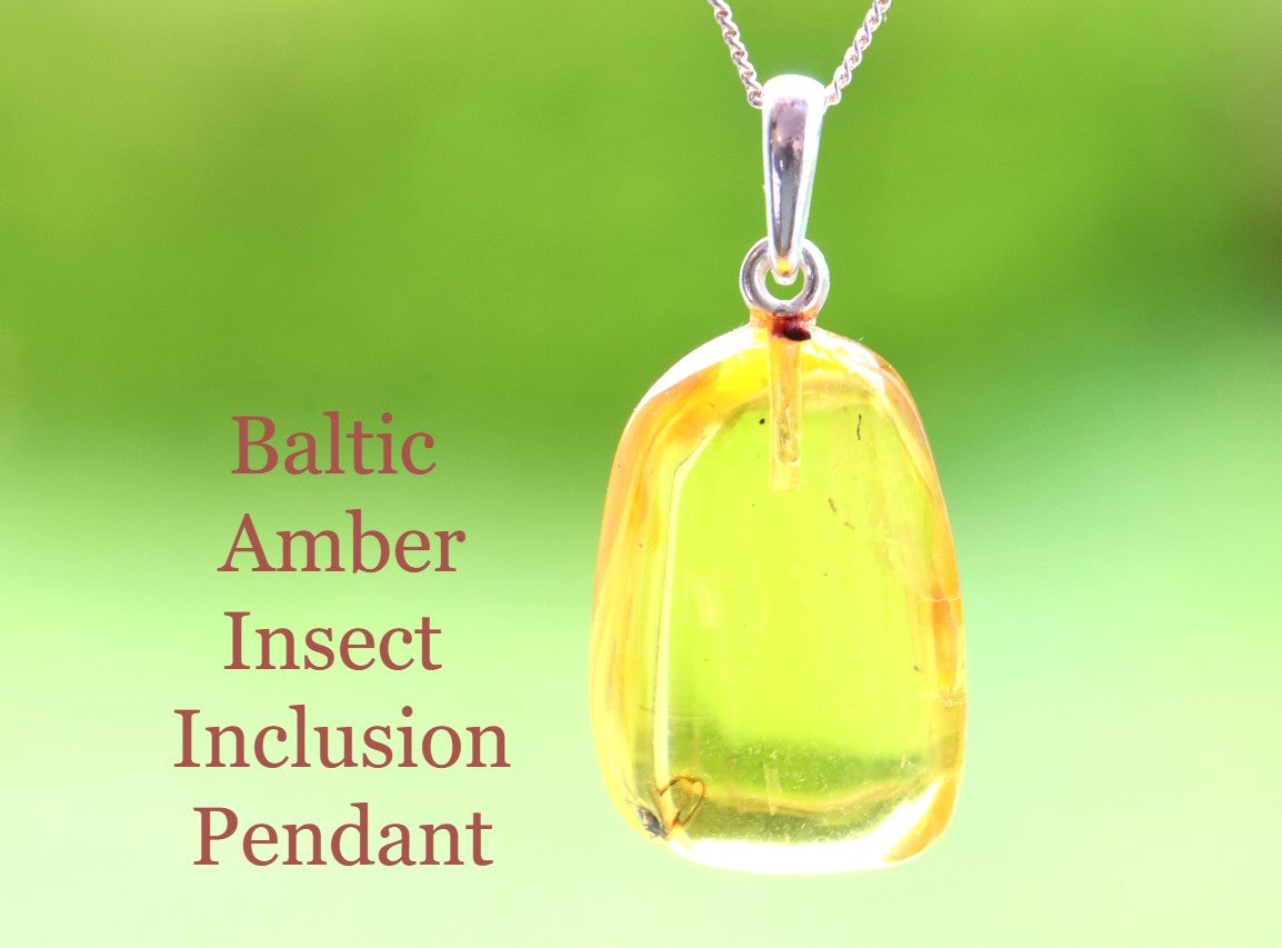 Silver Pendant with Insect