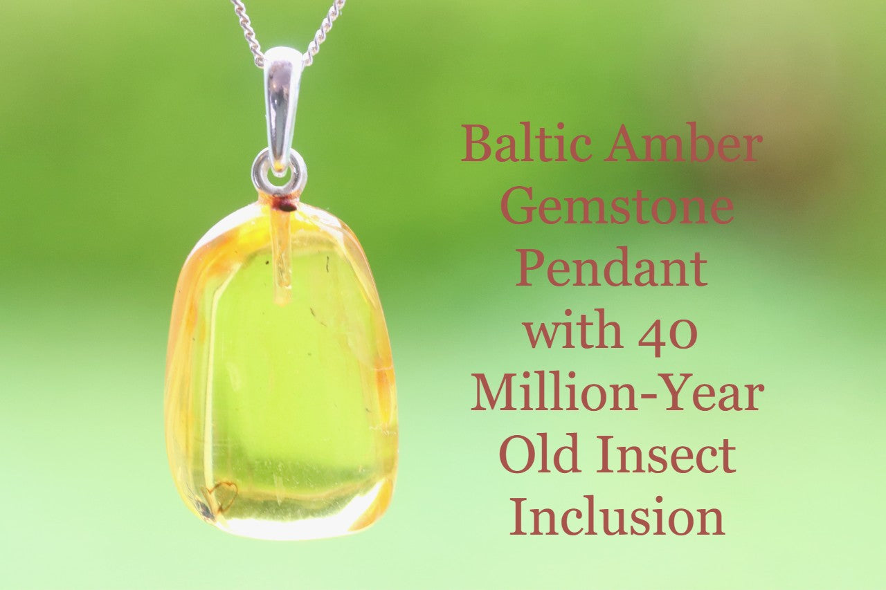 Silver Pendant with Insect