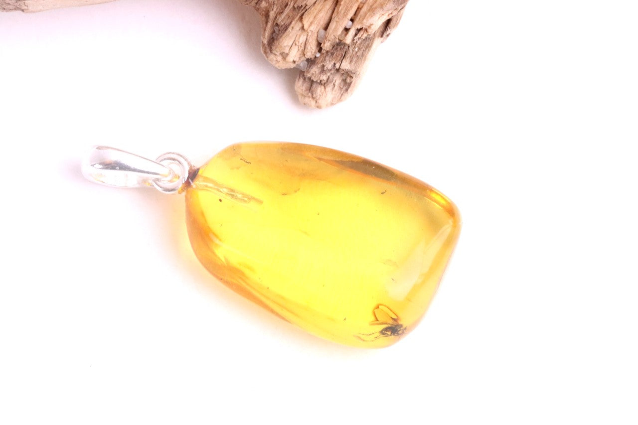 Silver Pendant with Insect