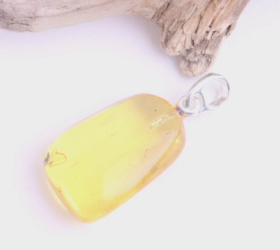 Silver Pendant with Insect