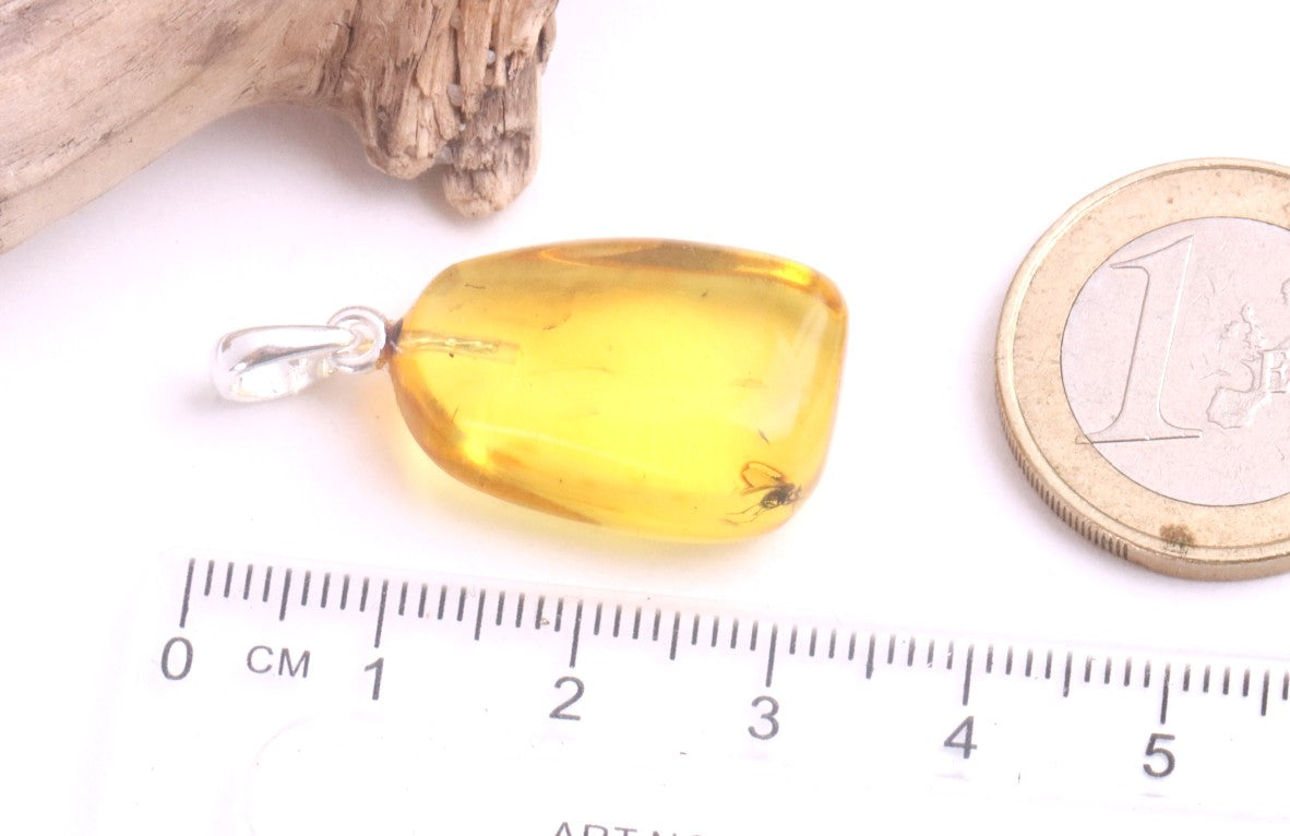 Silver Pendant with Insect