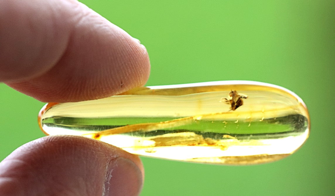 40 Million Year Old Baltic Amber with 2 X Insect Inclusions