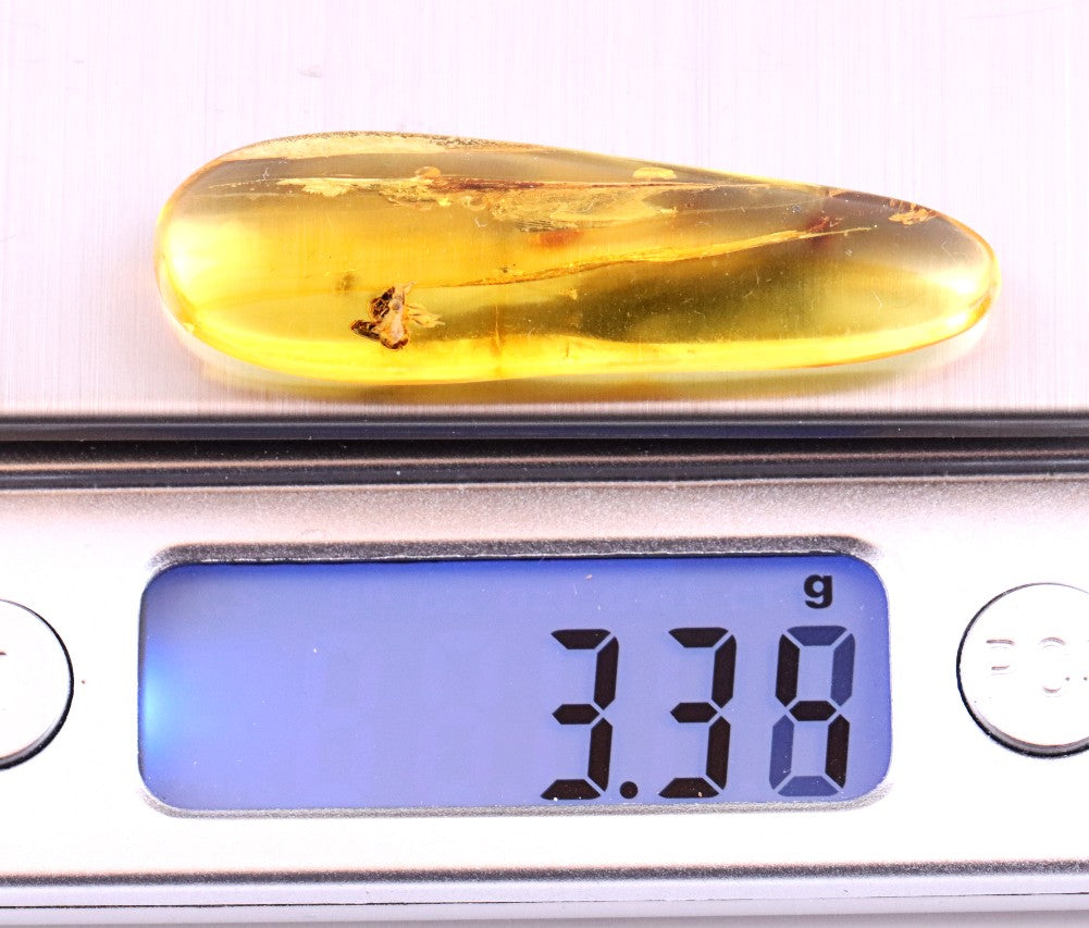 40 Million Year Old Baltic Amber with 2 X Insect Inclusions