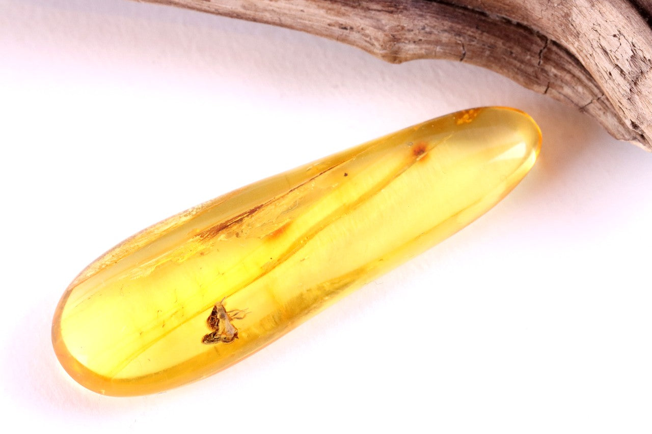 40 Million Year Old Baltic Amber with 2 X Insect Inclusions