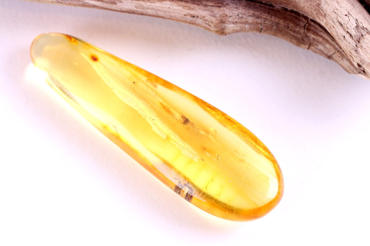 40 Million Year Old Baltic Amber with 2 X Insect Inclusions
