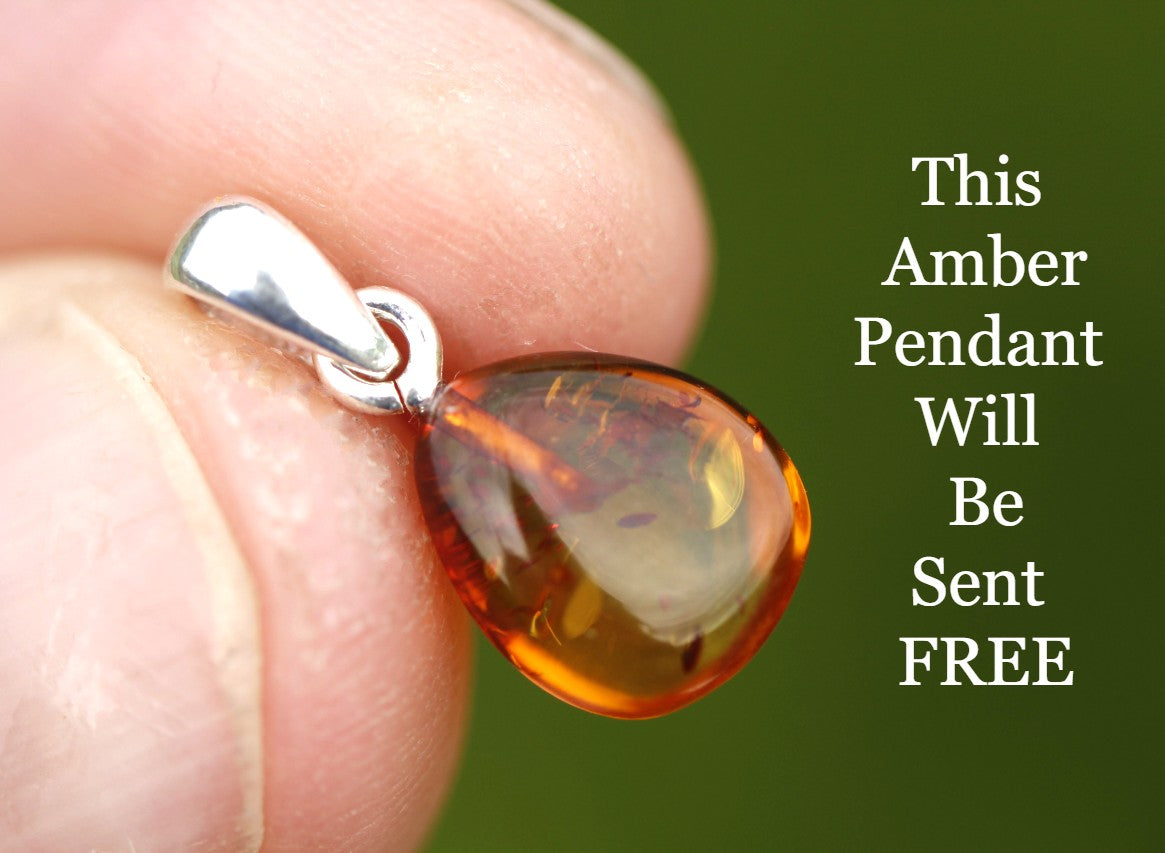 FREE Pendant Christmas Special Amber Earrings