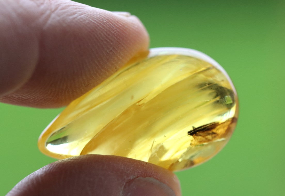 40 Million-Year-Old Baltic Amber with Insect