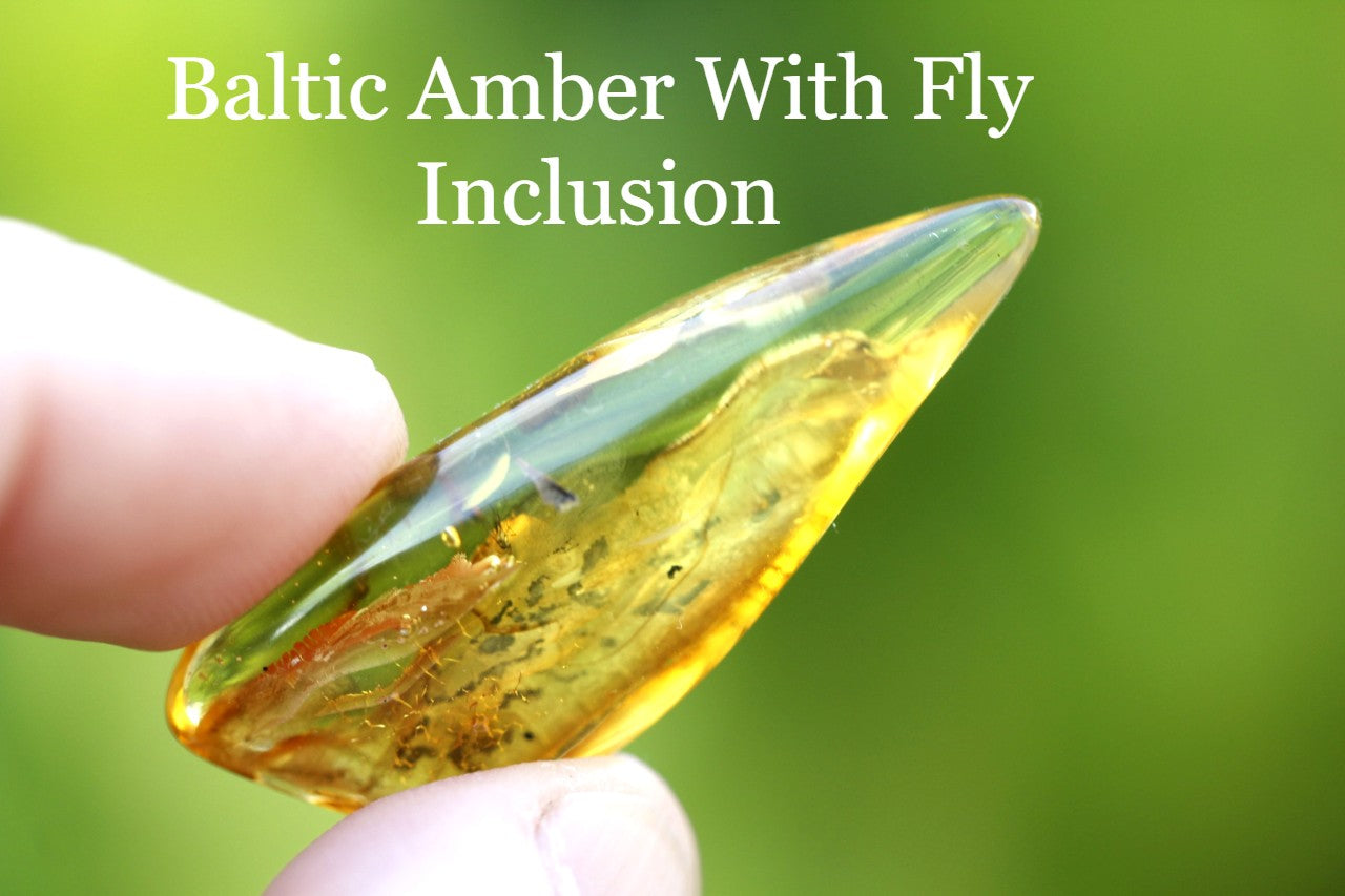 Baltic Amber With Fly Inclusion