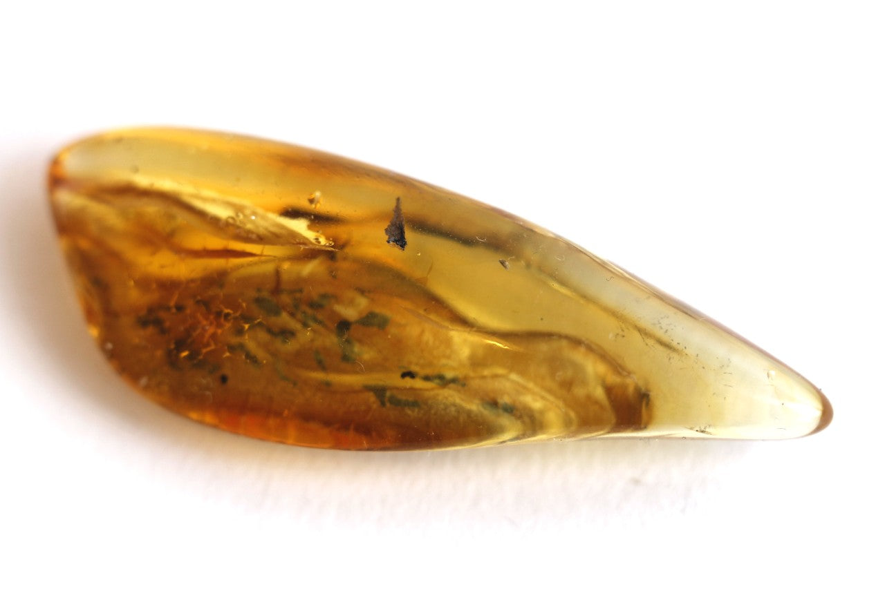 Baltic Amber With Fly Inclusion