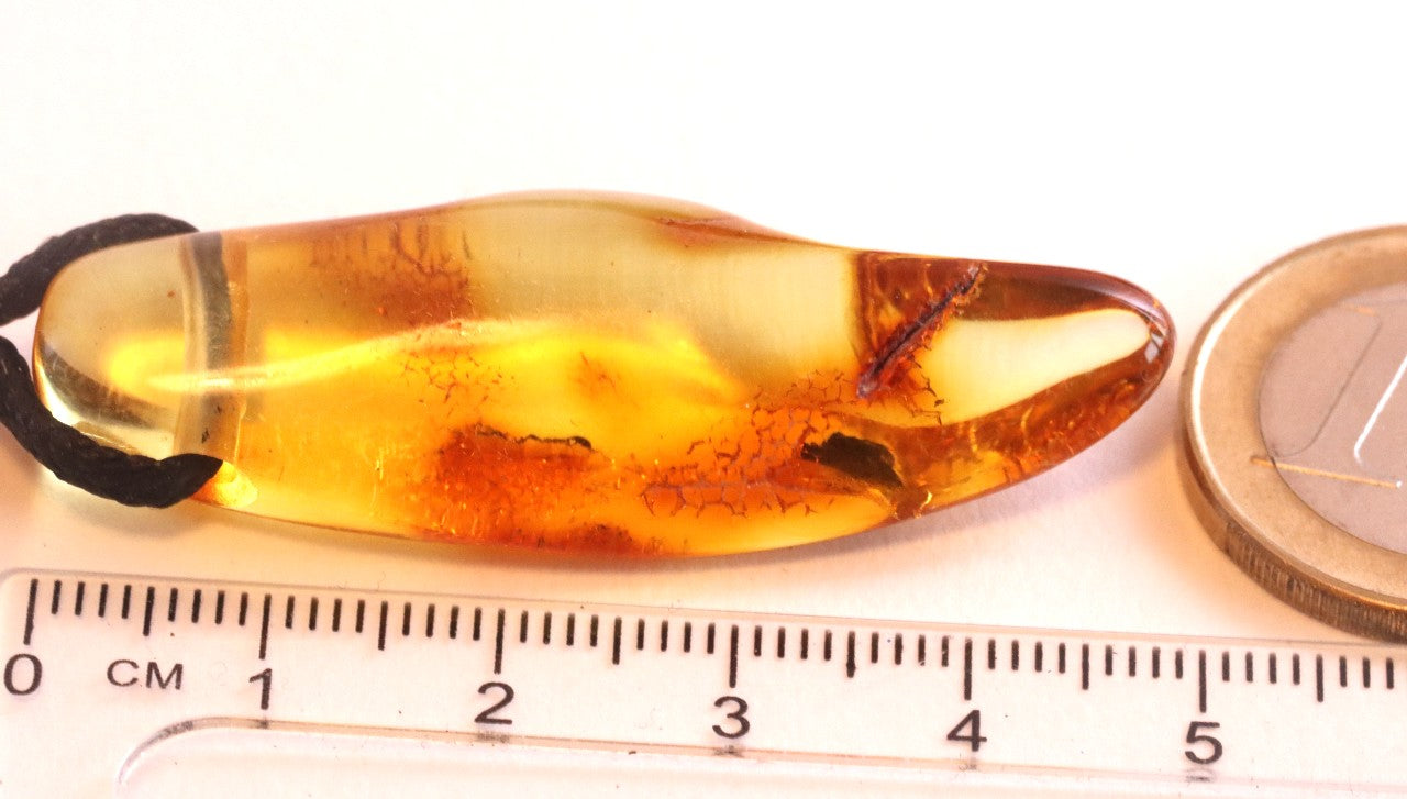 Baltic Amber Natural Amulet Pendant