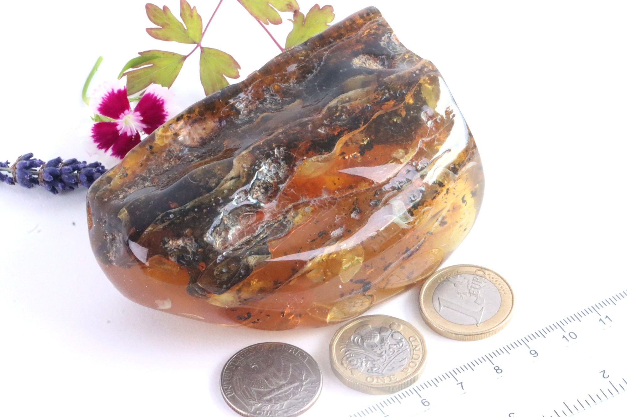 Unbelievable Large 118g Collector's Gem From The Baltic Sea