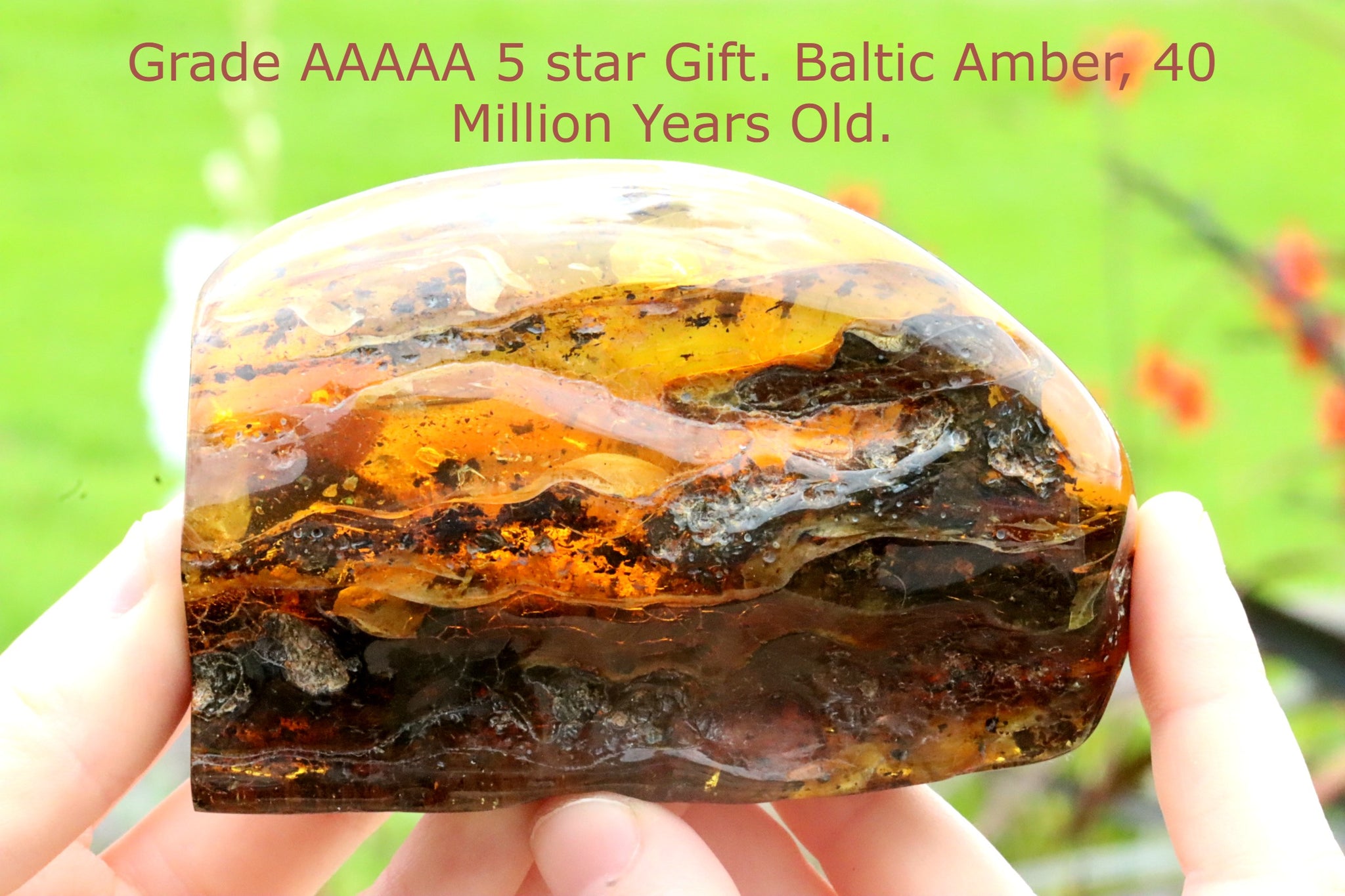 Unbelievable Large 118g Collector's Gem From The Baltic Sea