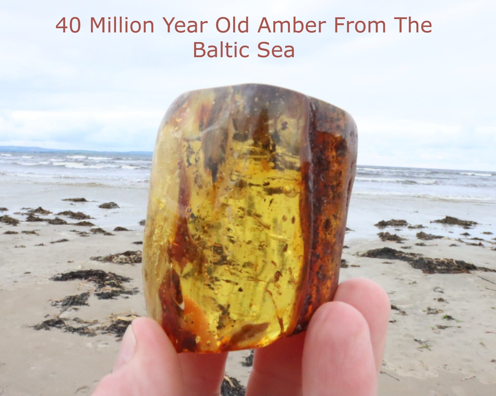 85g Museum Collector's Baltic Amber Gem with Of Air Bubbles