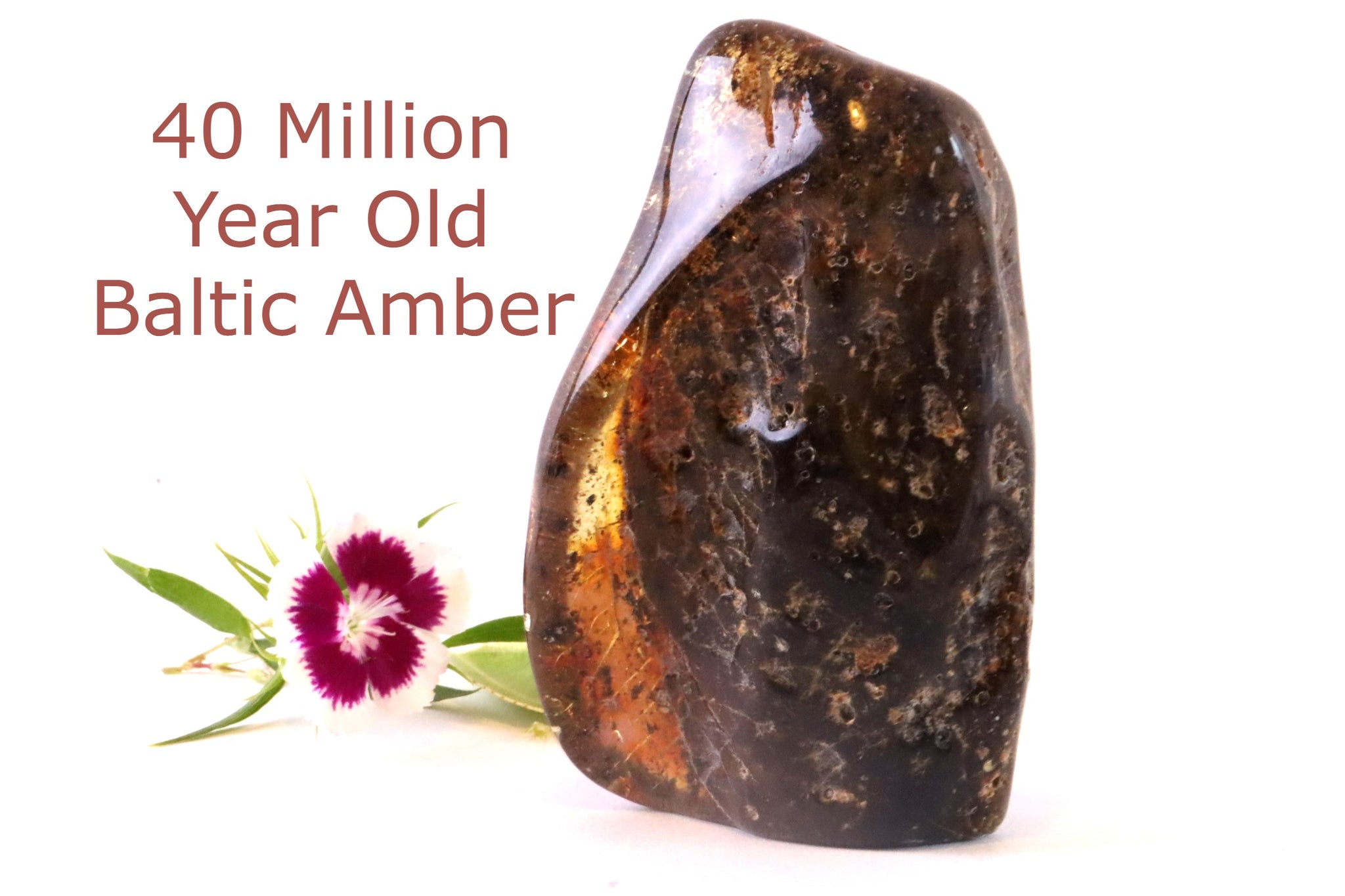 103g Large Amber Gemstone with Air Bubbles