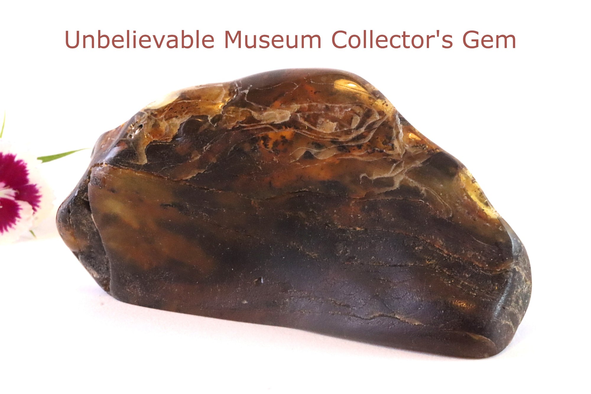Unbelievable Museum Collector's gem