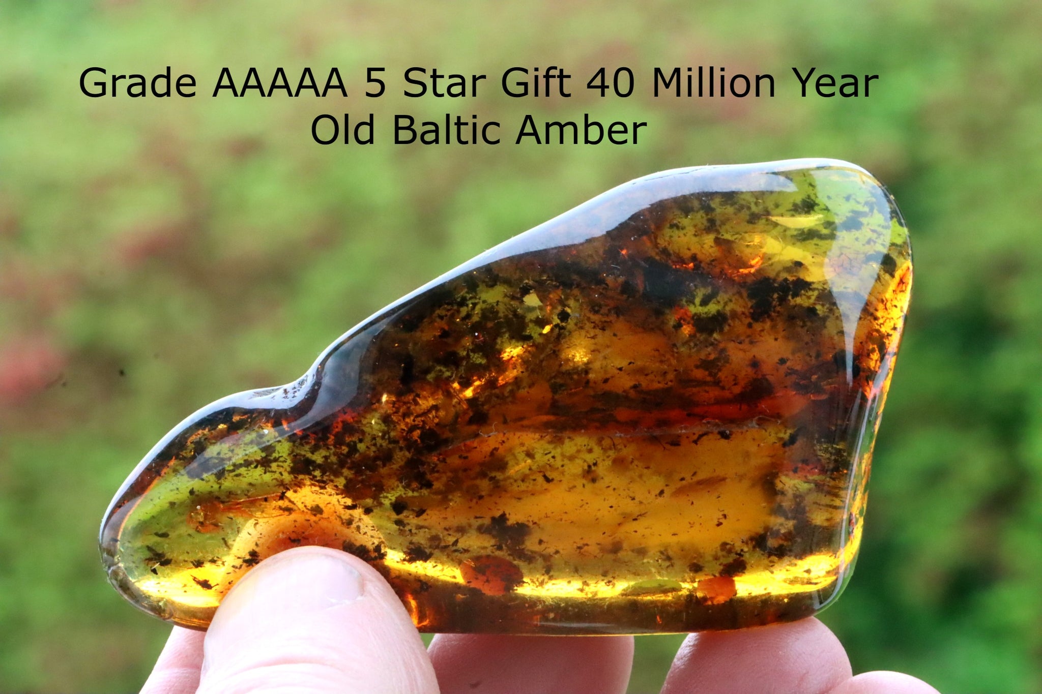 Unbelievable Natural Amber Gemstone 32g