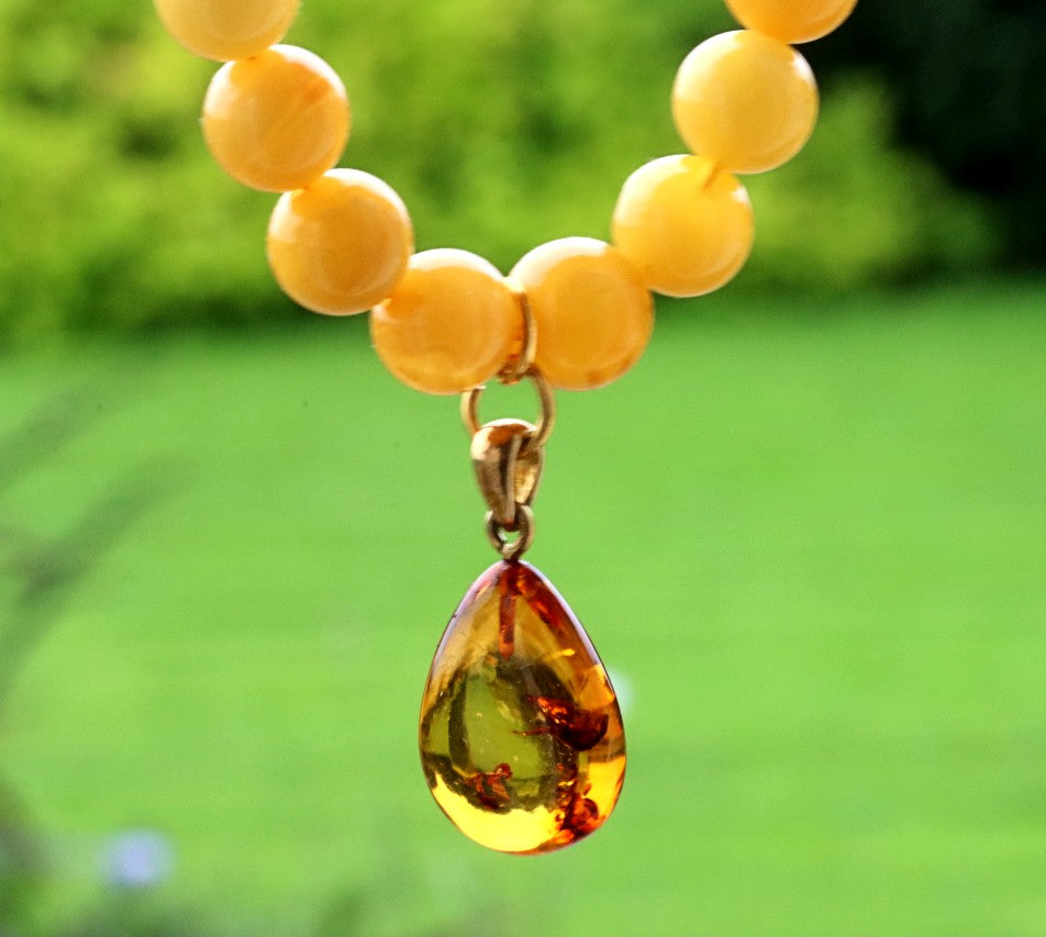 Exclusive Butterscotch Beeswax Baltic Amber Necklace with Gold-Plated Silver Pendant