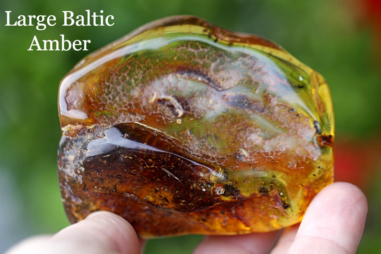 Large Museum Collector's  Baltic Amber